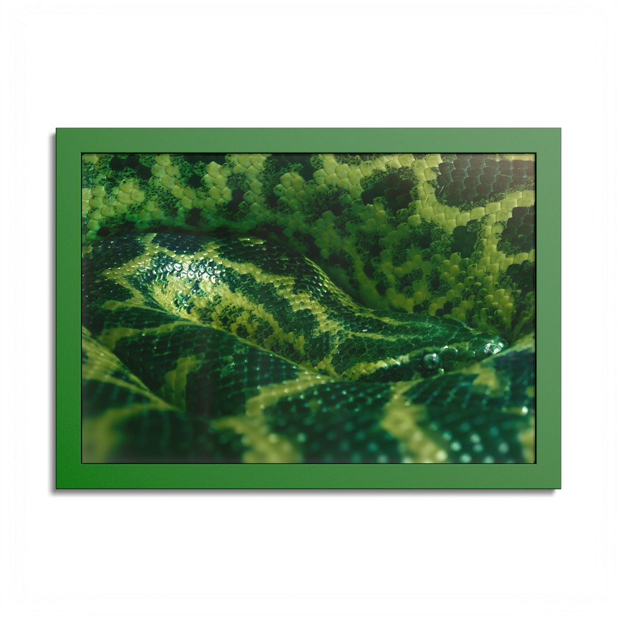 "Emerald Coils" Framed Fine Art Print