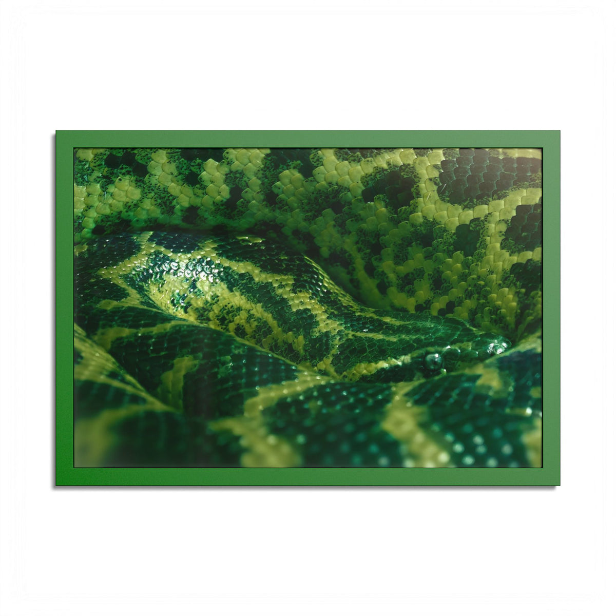 "Emerald Coils" Framed Fine Art Print