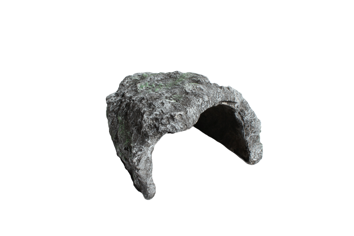 Naturalistic Rock Basking Cave & Hide
