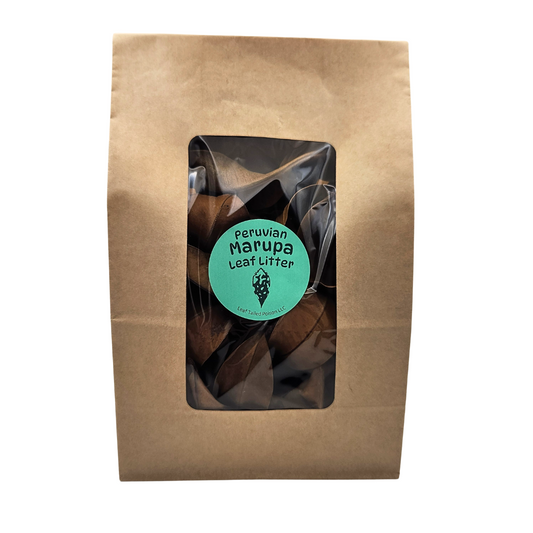Peruvian Marupa Leaf Litter (Simarouba amara) 1 oz Bag