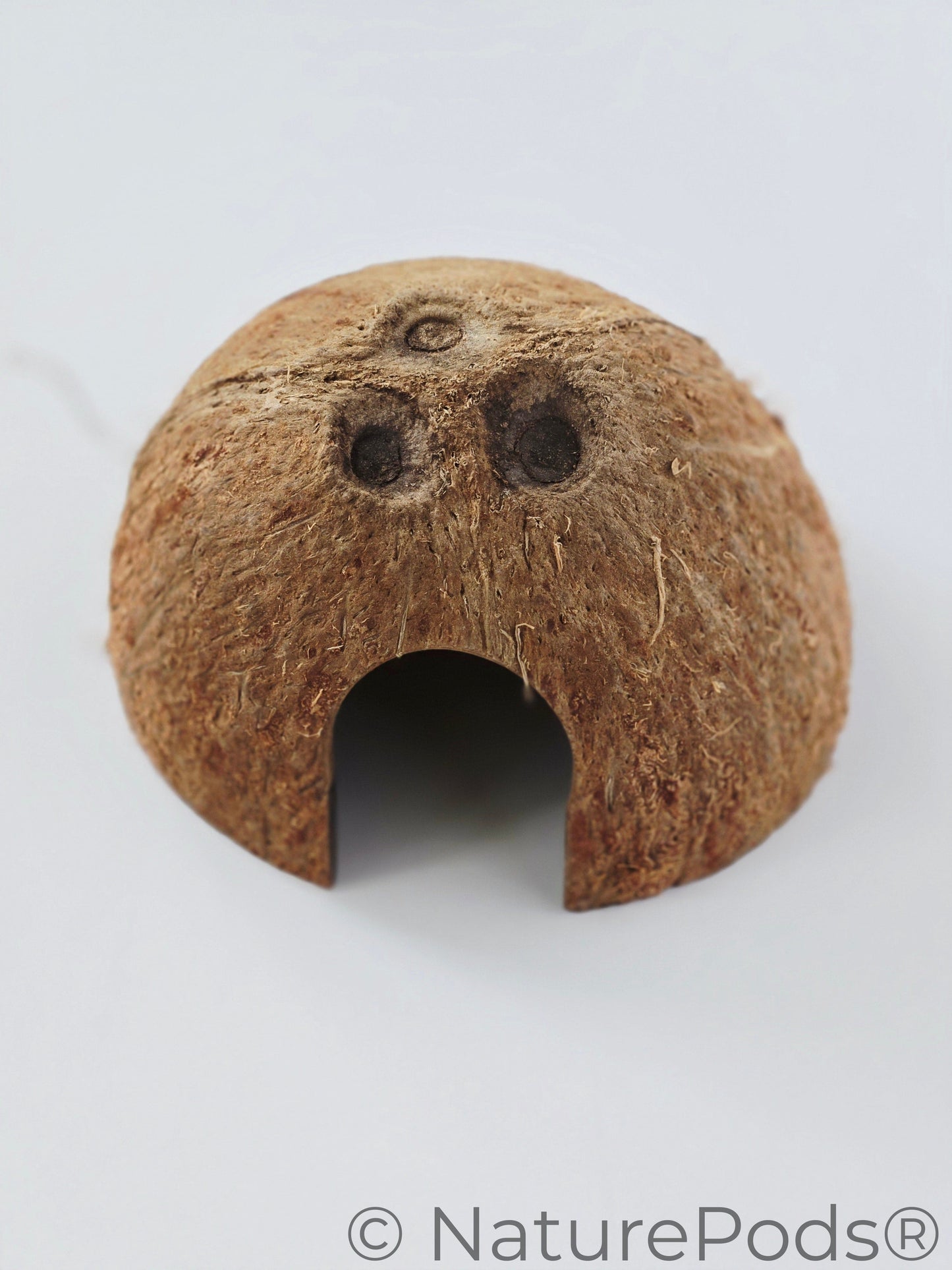 Coconut Caves