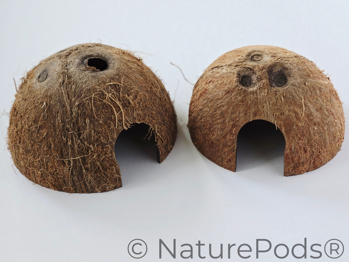 Natural Coconut Cave Habitat Hide (Cocos nucifera)