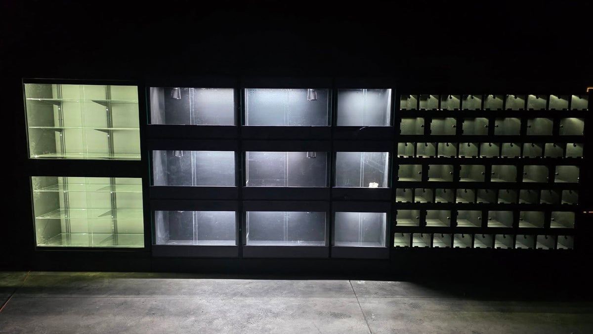 4x2x2 Custom Terrestrial PVC Terrarium with Lexan Doors | 120-Gallon Equivalent