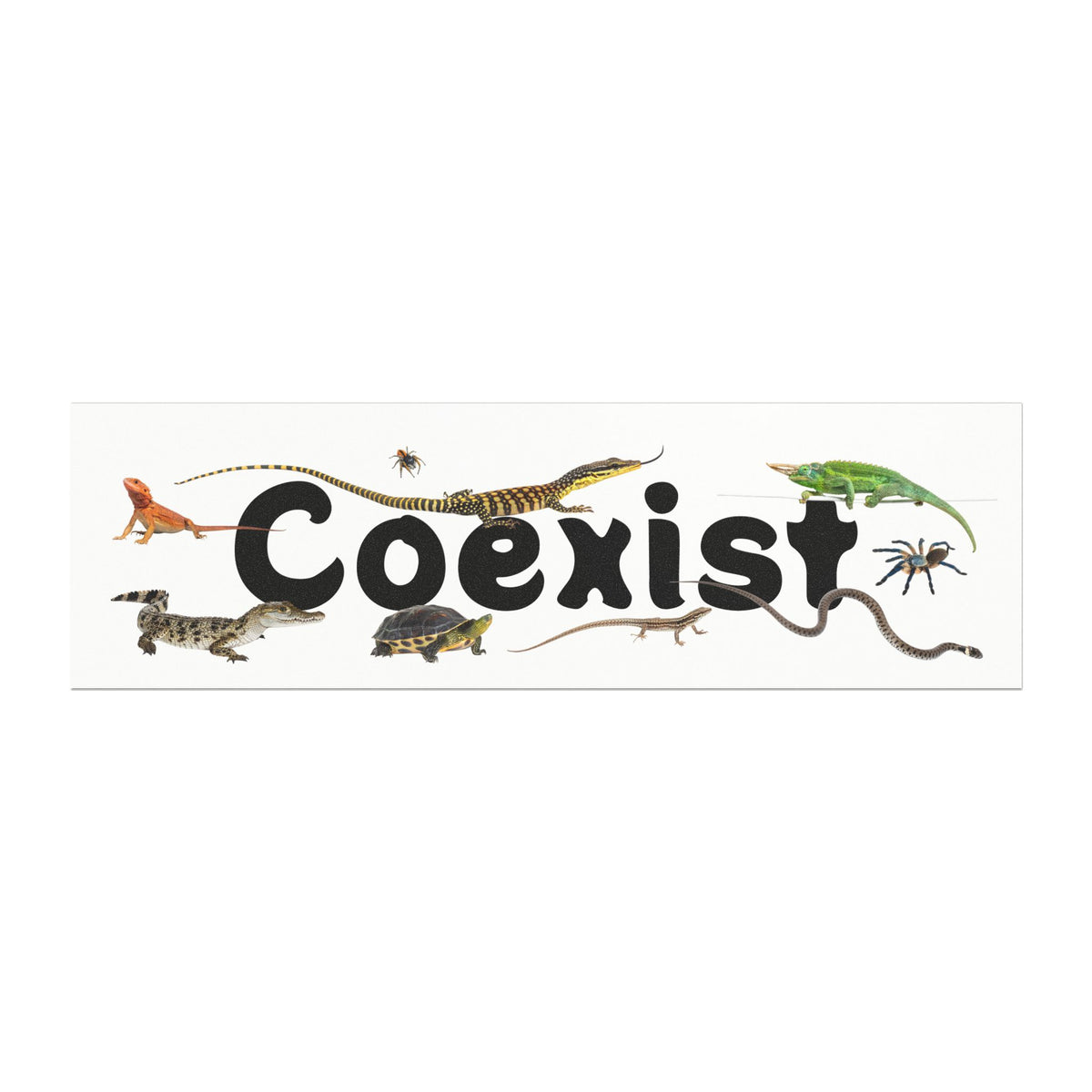 Reptile, Amphibian & Invertebrate "Coexist" Vehicle Magnet