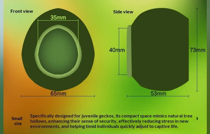 Arboreal Canopy Egg Hide & Elevated Nest