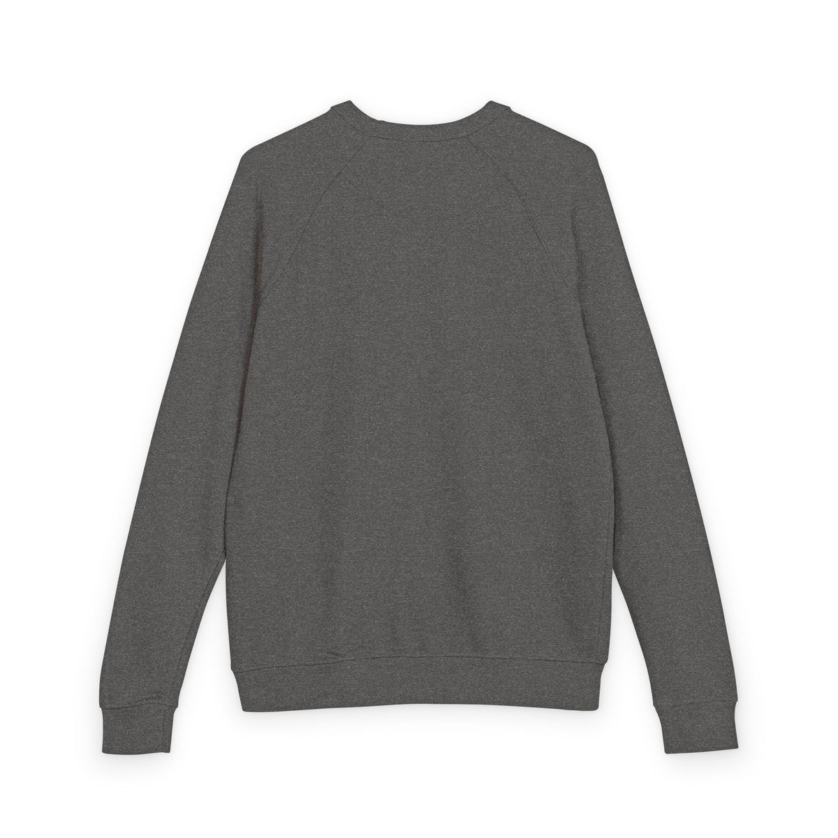 Bearded Dragon Silhouette French Terry Raglan Crewneck