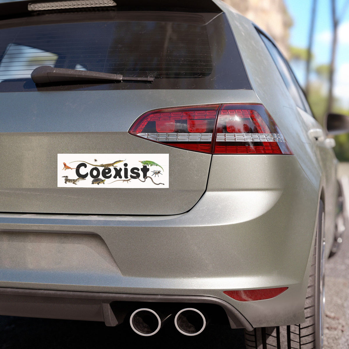 Reptile, Amphibian & Invertebrate "Coexist" Vehicle Magnet