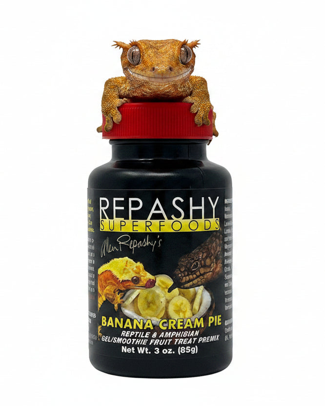 Repashy - Banana Cream Pie