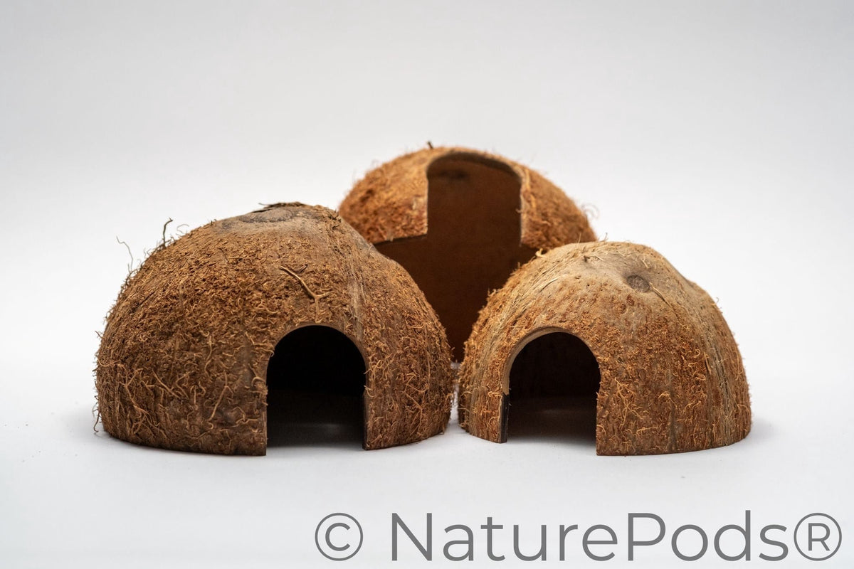 Natural Coconut Cave Habitat Hide (Cocos nucifera)