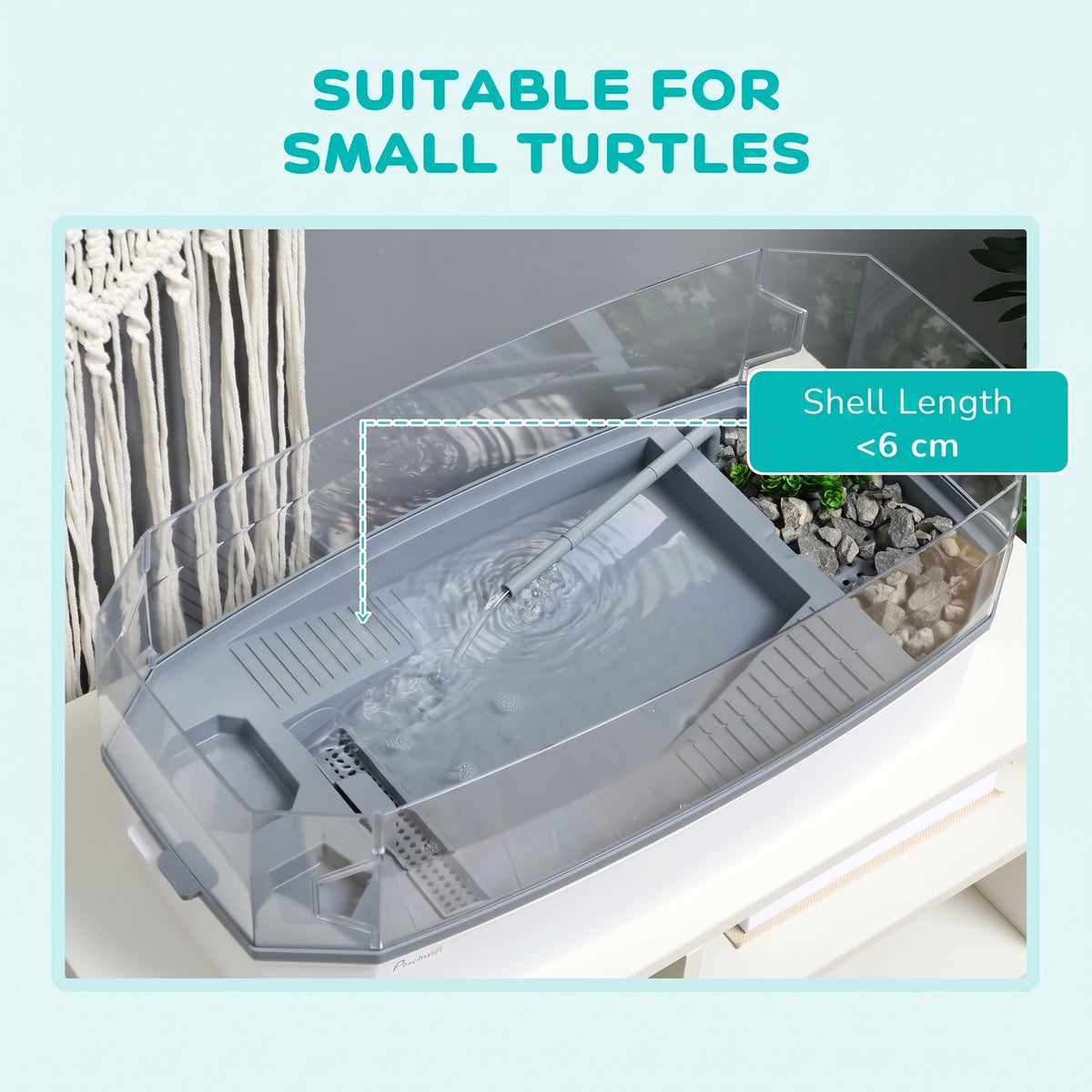 Aquatic Nursery Kit for Hatchling Turtles & Semi-Aquatic Invertebrates