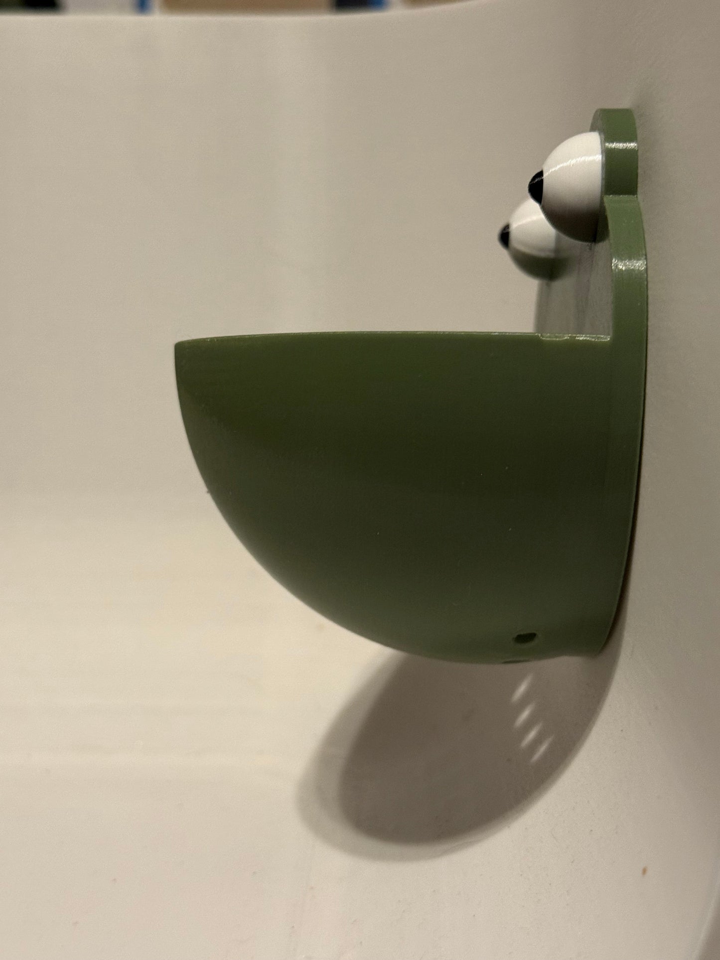 Frog Ledge