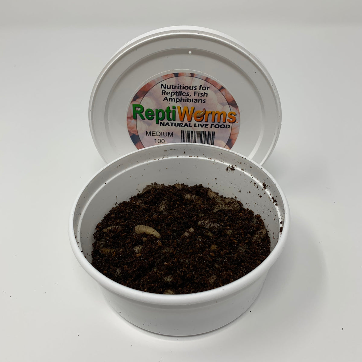 Live Black Soldier Fly Larvae