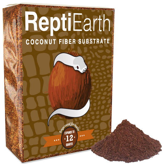 The DIY Tropical Base Mix: Complete Bioactive Substrate Kit