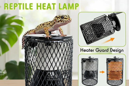 Premium Reptile Ceramic Heat Emitter Fixture with Anti-Scald Guard