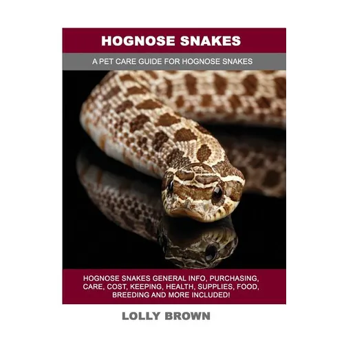 Hognose Snakes by Lolly Brown