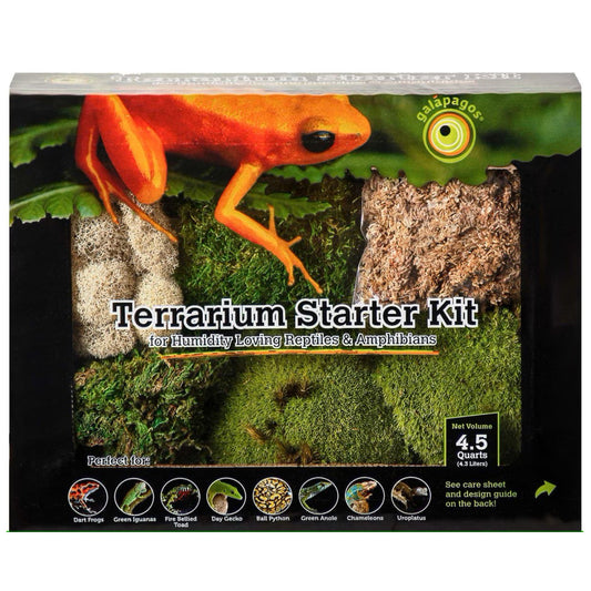Galapagos Humid Terrarium Starter Kit