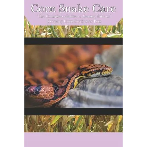 Corn Snake Care By Tabitha Jones