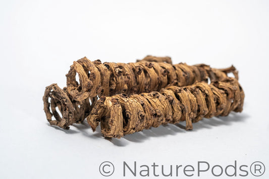 Natural Palm Tail Springs (Borassus flabellifer) – 3 Pack