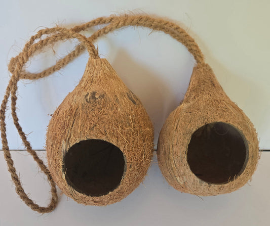 Natural Hanging Coconut Shell Hideout & Nest (Cocos nucifera)