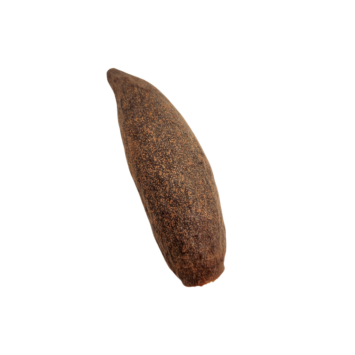 Natural Dried Trumpet Pods (Tabebuia spp.)
