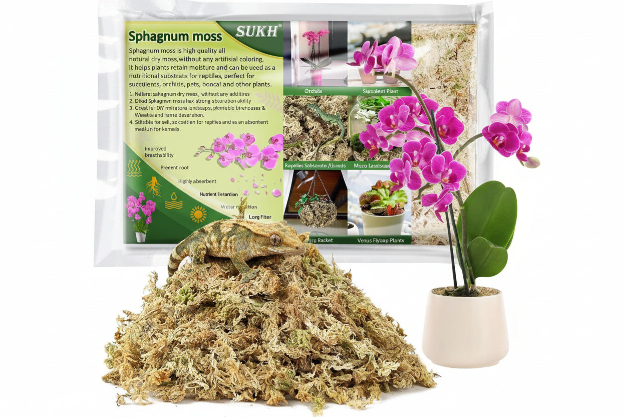Sphagnum Moss