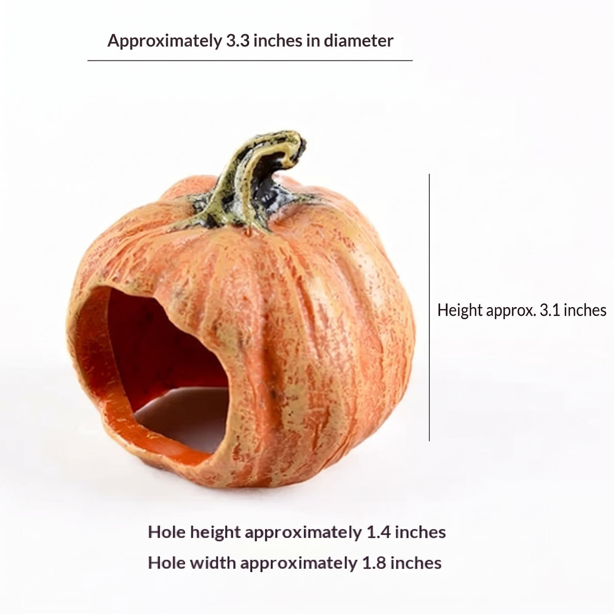 Resin Pumpkin Reptile Hides