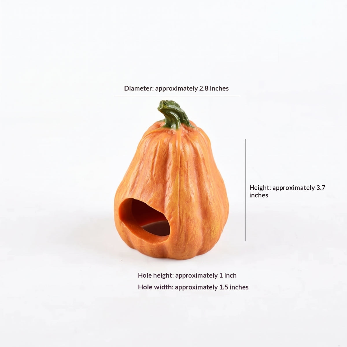 Resin Pumpkin Reptile Hides