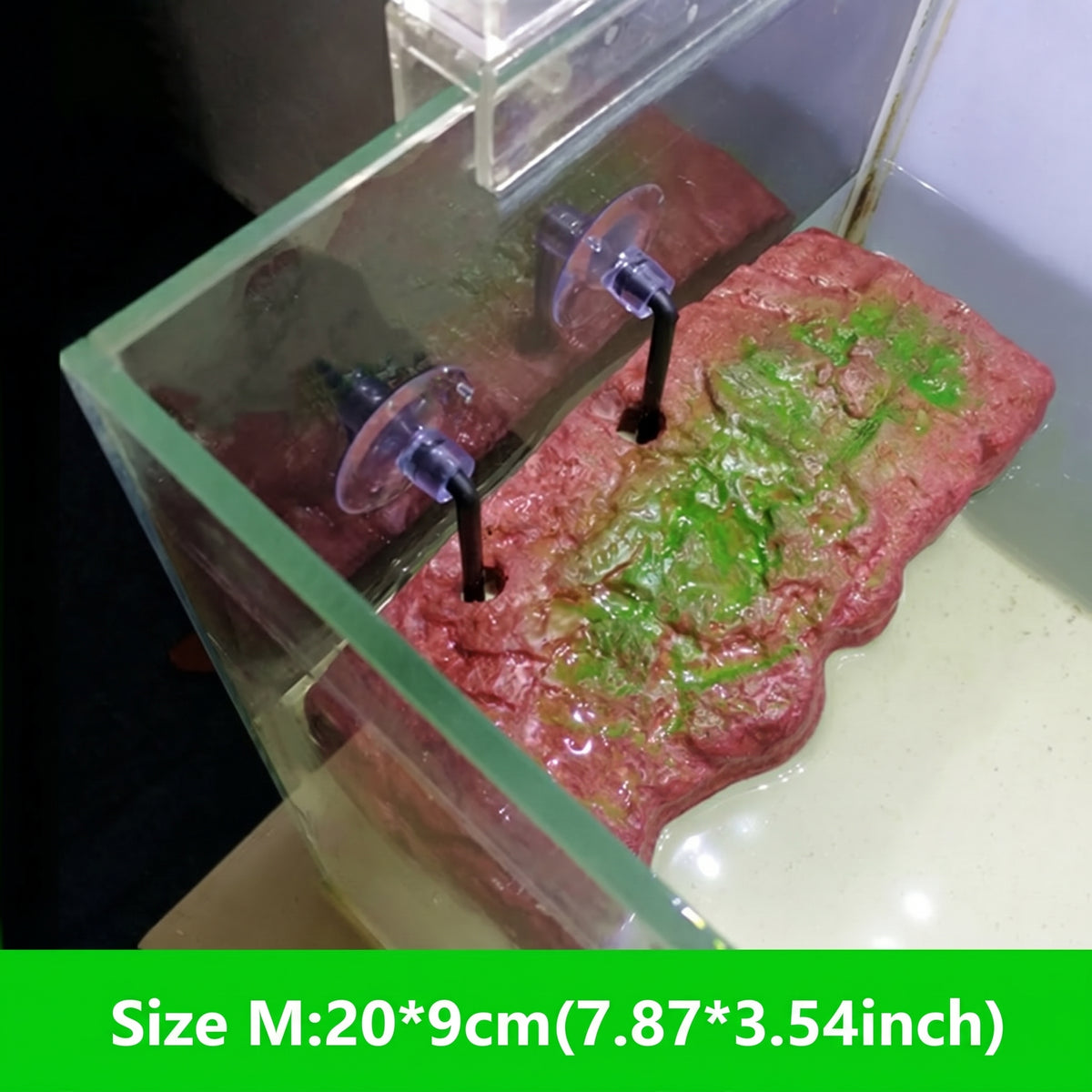 Self-Adjusting Floating Turtle Basking Dock