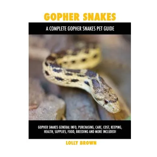 Gopher Snakes by Lolly Brown
