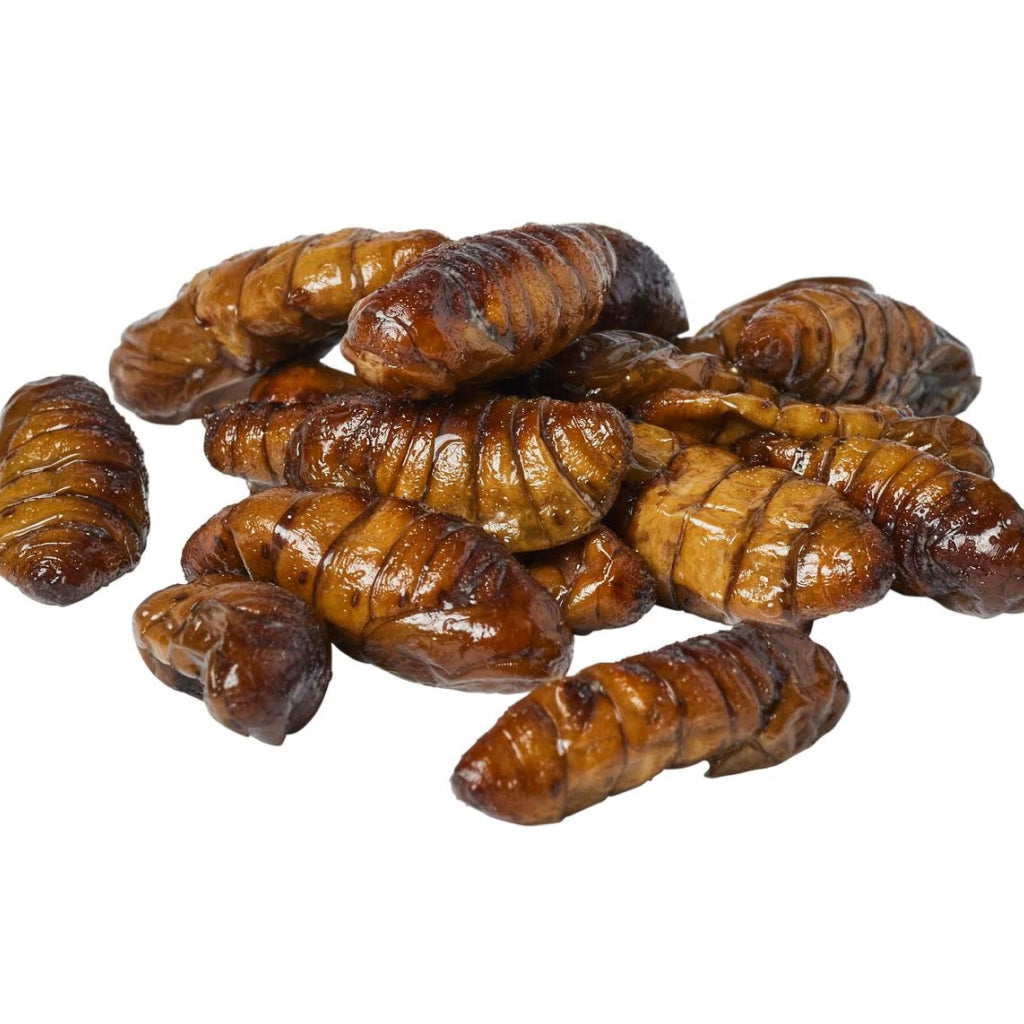 Zoo Med Can O' Silkworms (1.2 oz)