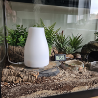 Humidity, Misting, & Hydration