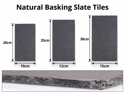 Basking Slate
