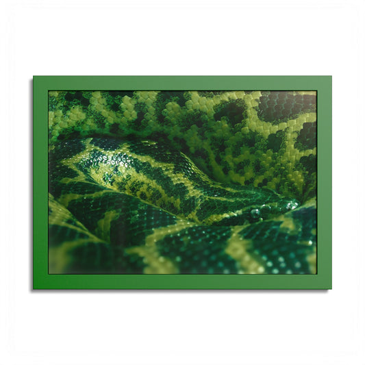 "Emerald Coils" Framed Fine Art Print