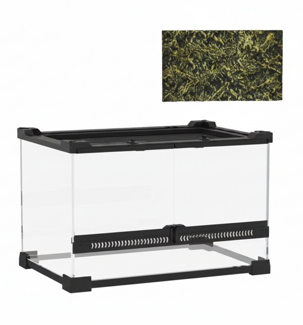 10L (2.6 Gallon) Glass Vivarium with Rock Background