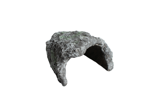 Naturalistic Rock Basking Cave & Hide