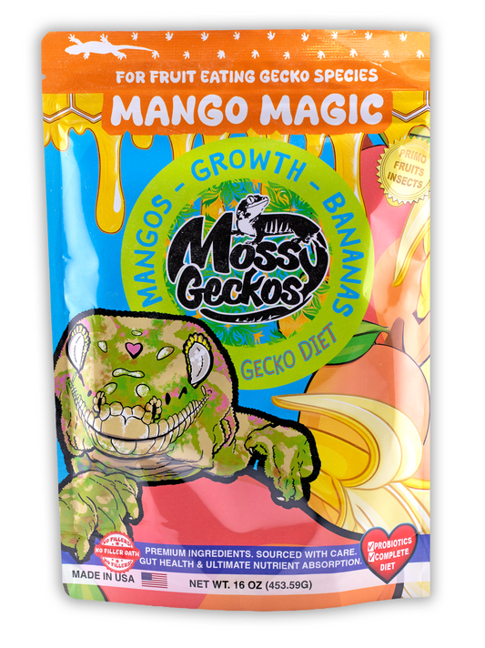 Mossy Geckos - Mango Magic
