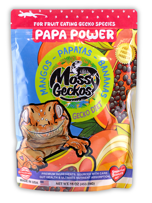 Mossy Geckos - Papa Power