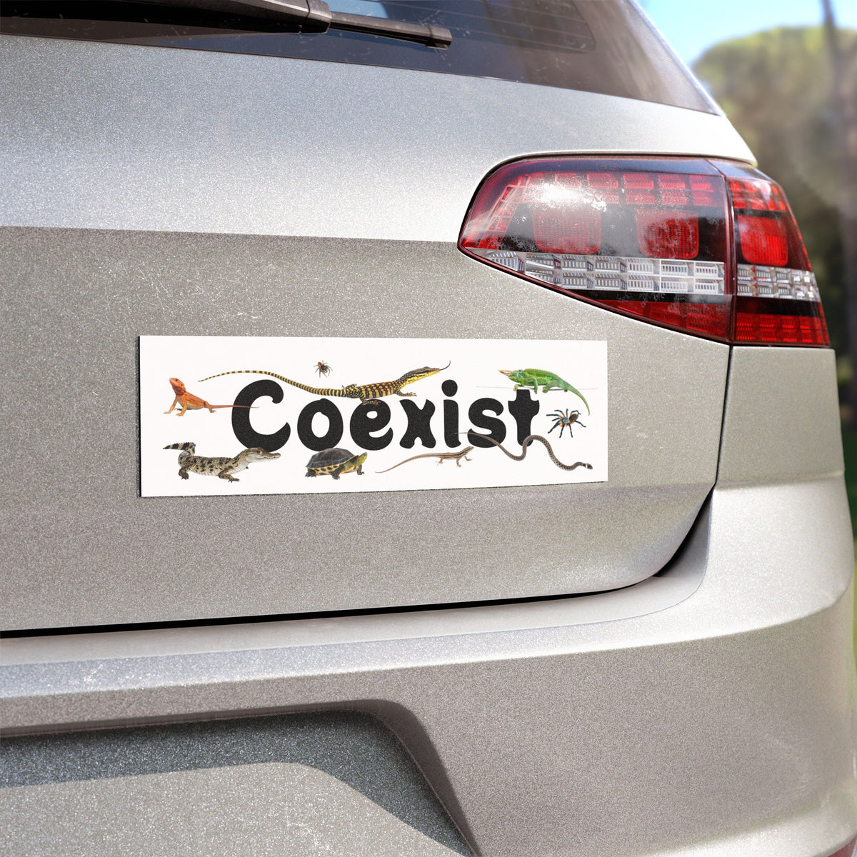 Reptile, Amphibian & Invertebrate "Coexist" Vehicle Magnet
