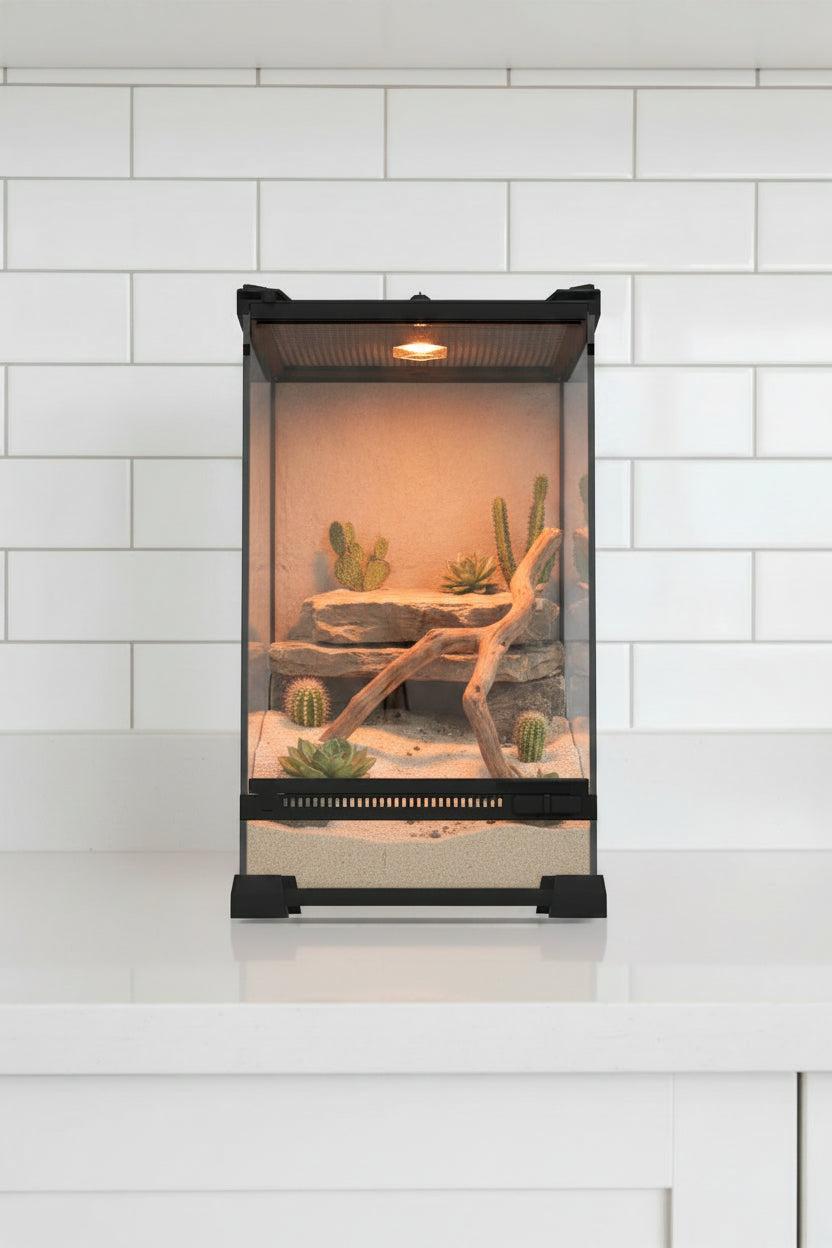 Glass Terrarium