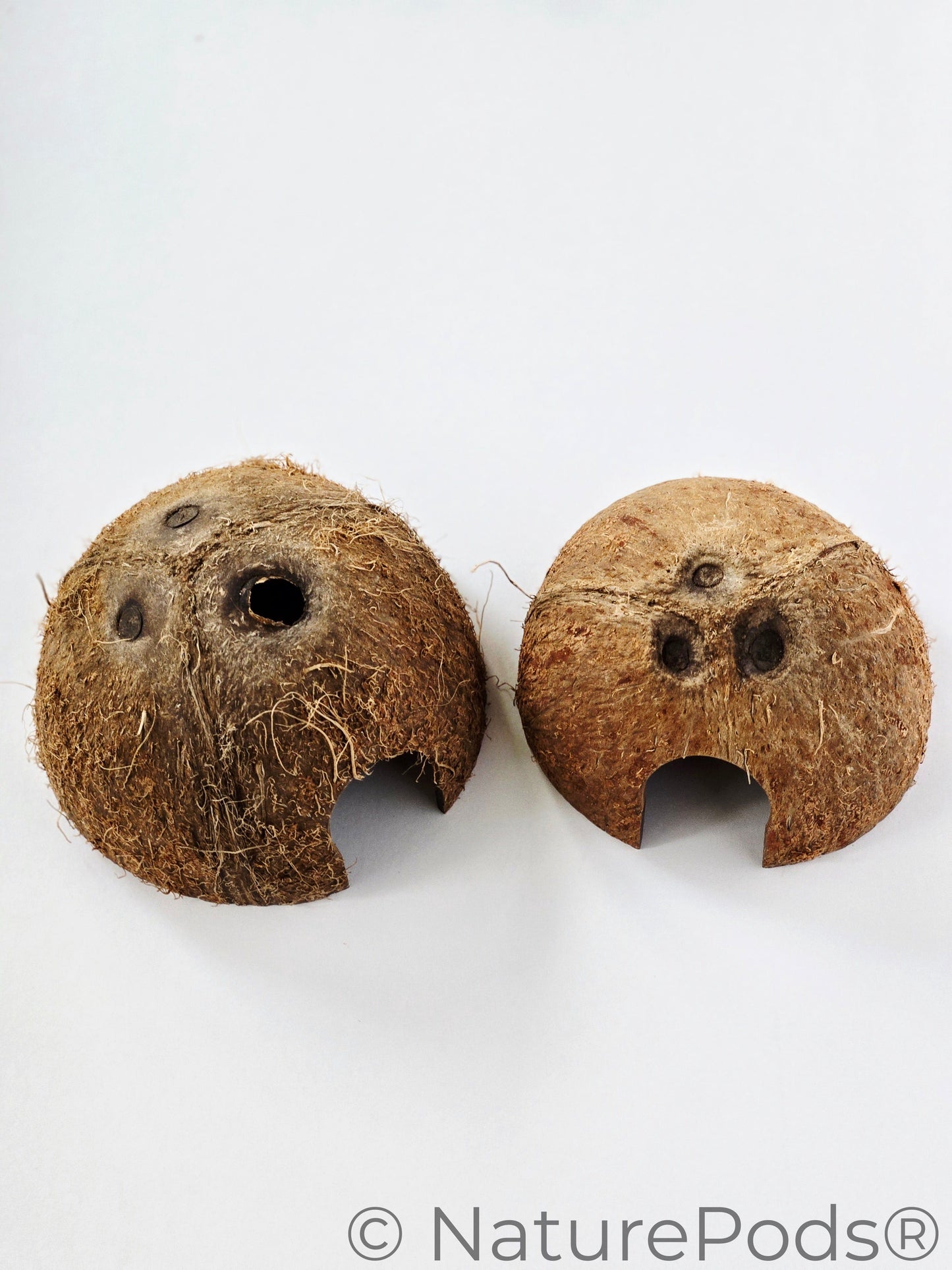 Coconut Caves