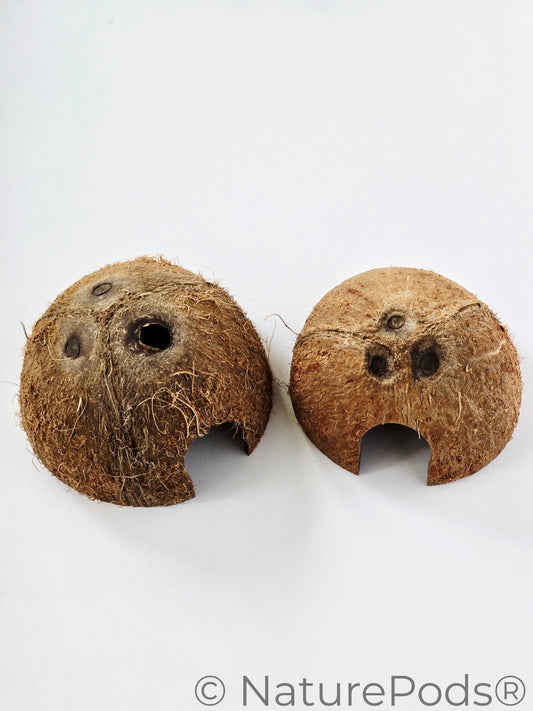 Natural Coconut Cave Habitat Hide (Cocos nucifera)