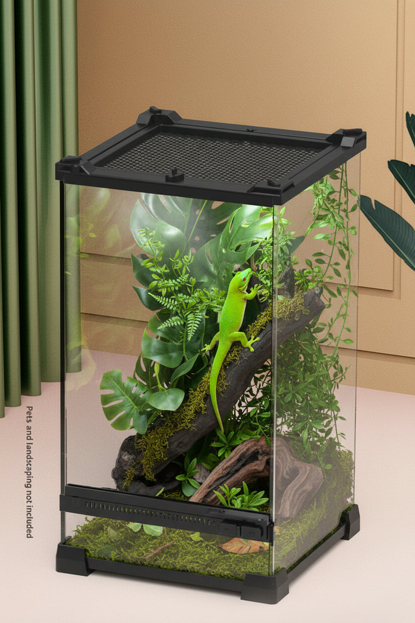 Glass Terrarium
