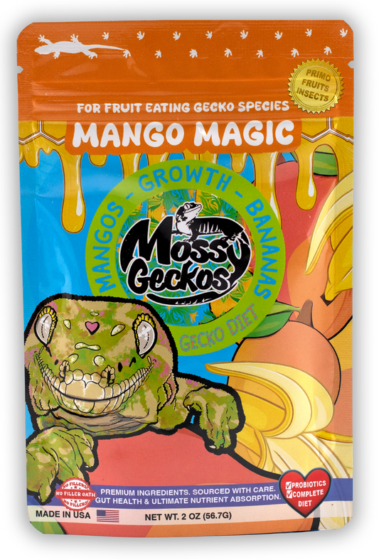Mossy Geckos - Mango Magic
