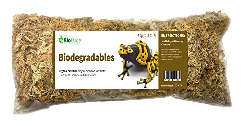 The Complete Deluxe Bioactive New Caledonian Gecko Habitat Bundle