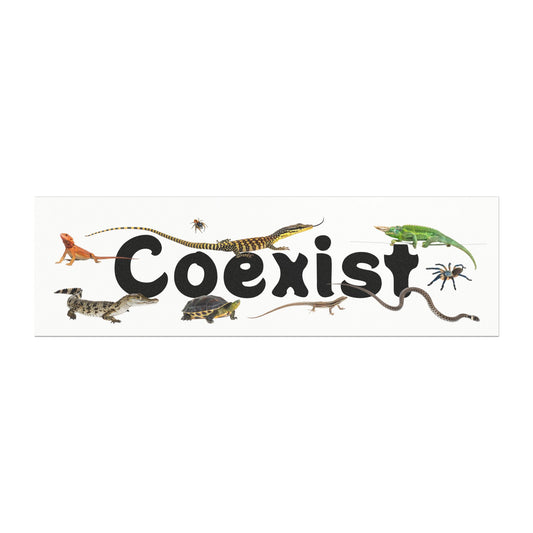 Reptile, Amphibian & Invertebrate "Coexist" Vehicle Magnet