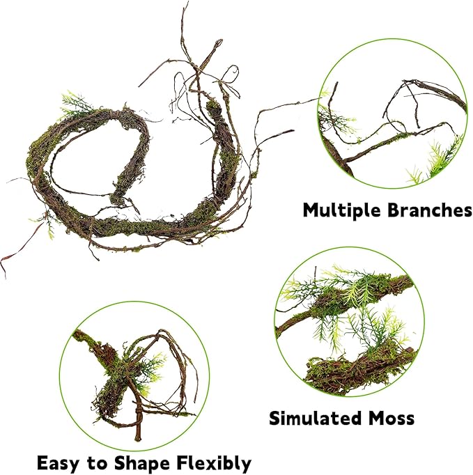 3-Piece Canopy Climbing Vine & Hanging Foliage Set