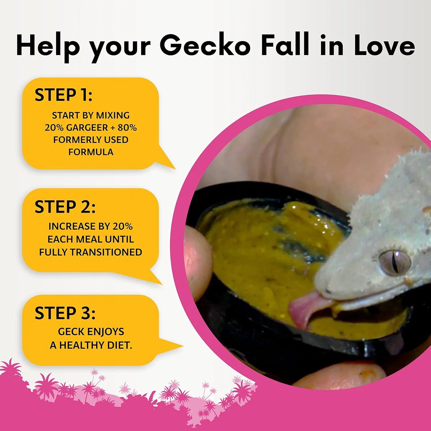 Gargeer Gentle Geck: Breeder