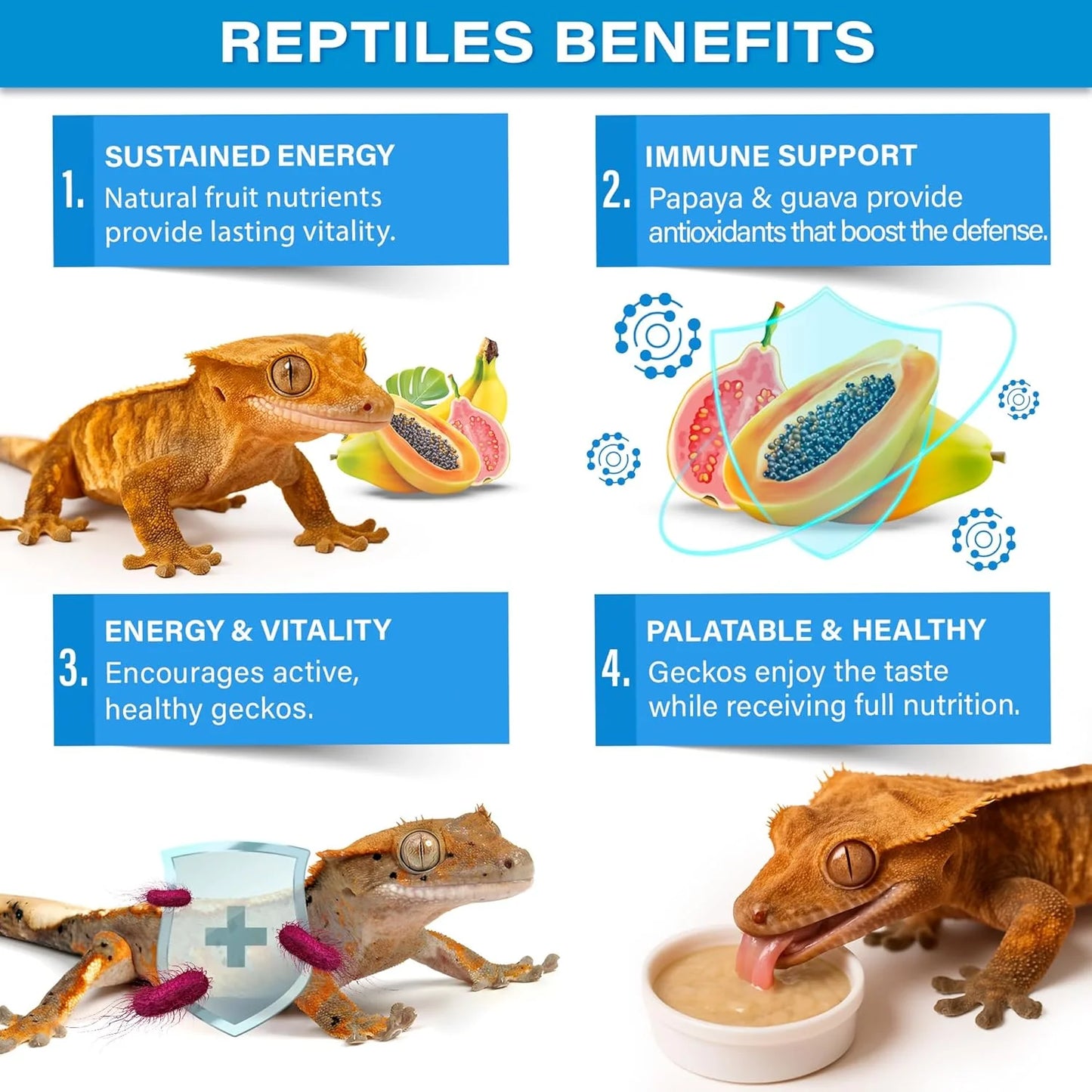 Gargeer Picky Geck: Island Retreat