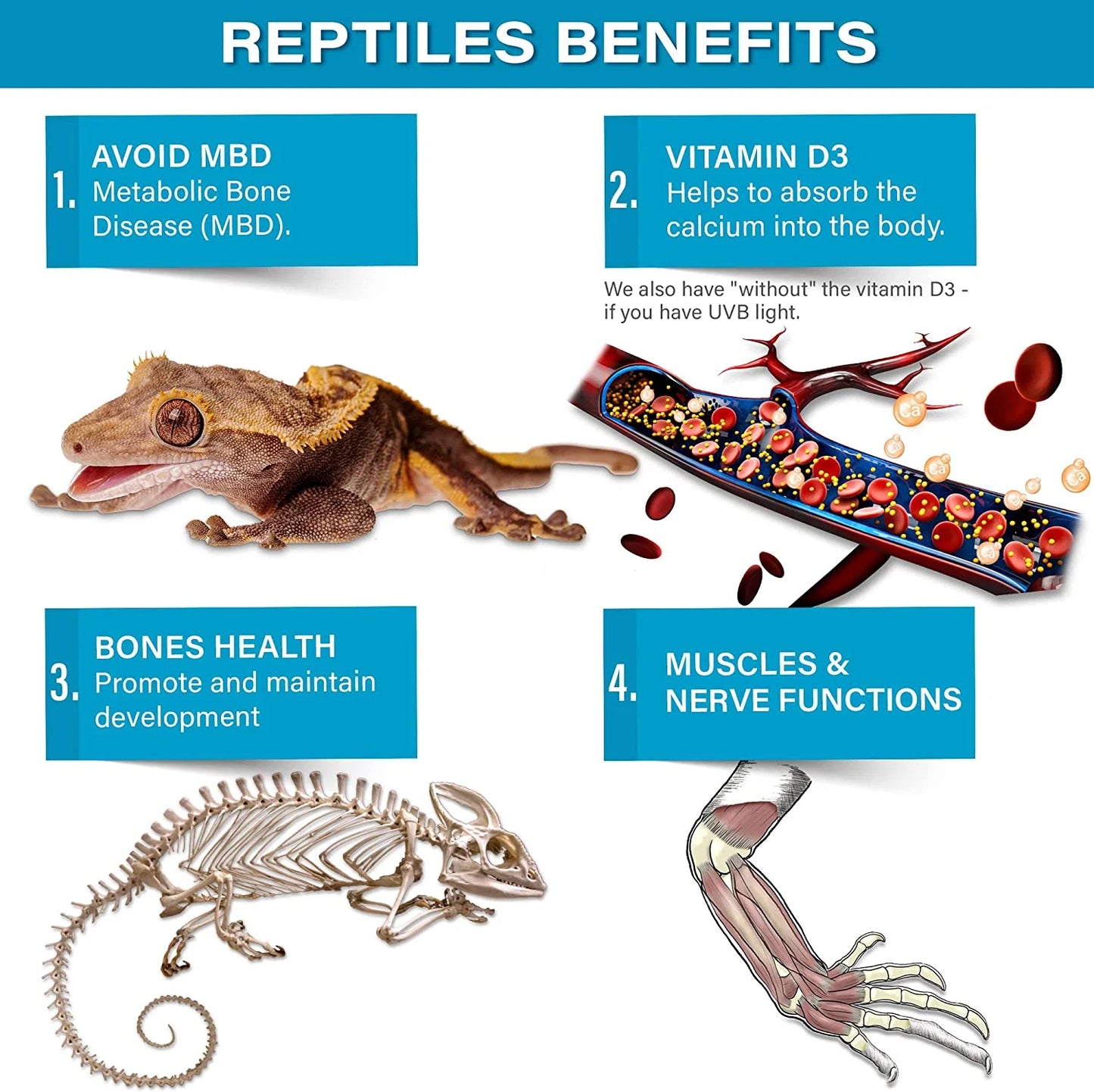 Gargeer All Reptiles Calcium Powder (Without D3)