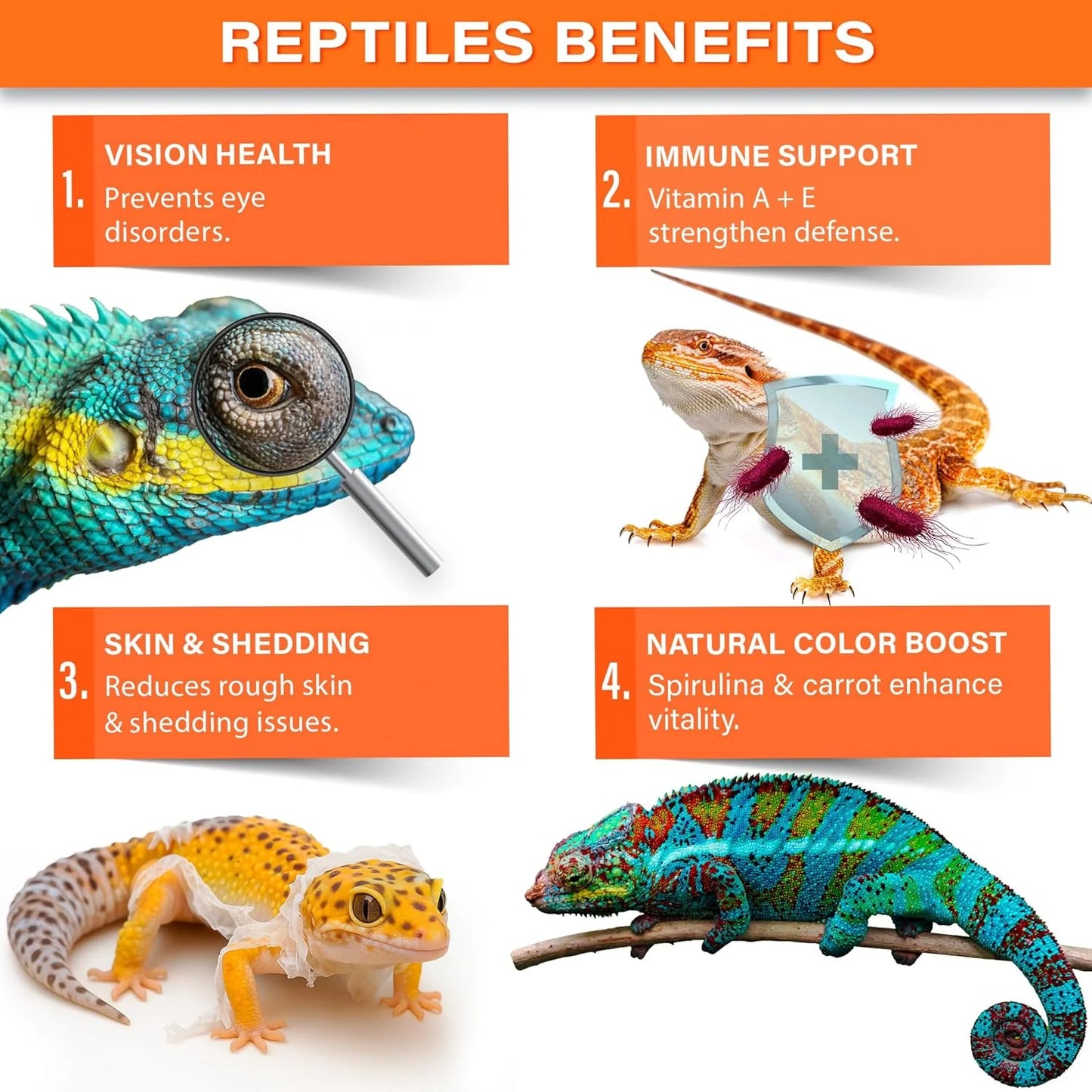 Gargeer Vitamin A+ All Reptiles Supplement
